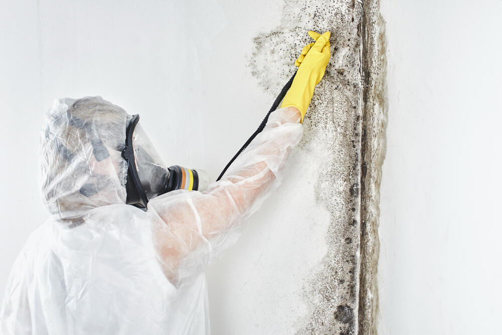 CALGARY MOLD PREVENTION & STRUCTURAL DRYING CALGARY MOLD PREVENTION & STRUCTURAL DRYING